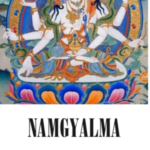 Namgyalma Higher Force