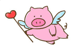 Arkan Sonny Faery Pig Empowerment